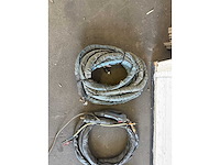 Diverse lastoortsen (3x) - afbeelding 4 van  4