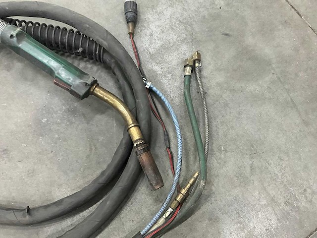 Diverse lastoortsen (4x) - afbeelding 10 van  13