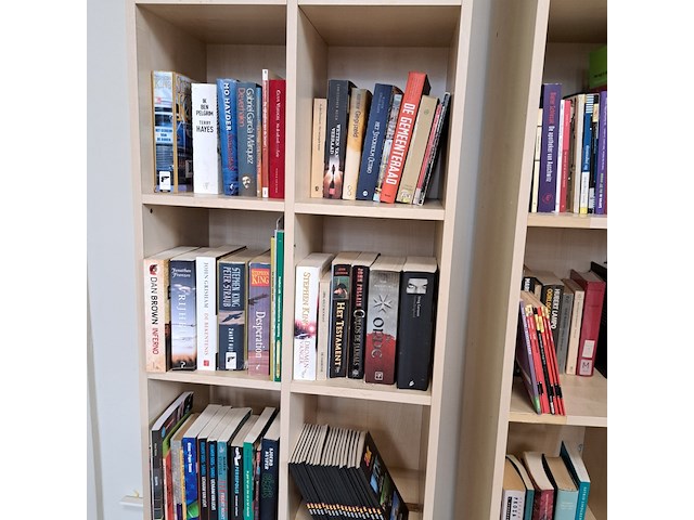 Diverse leesboeken inclusief boekenkasten - afbeelding 4 van  9