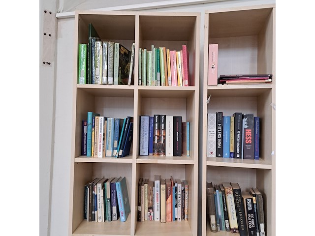 Diverse leesboeken inclusief boekenkasten - afbeelding 6 van  9
