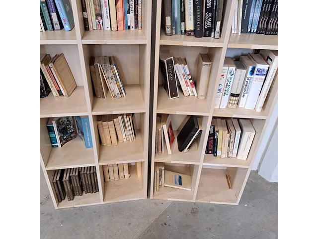 Diverse leesboeken inclusief boekenkasten - afbeelding 7 van  9