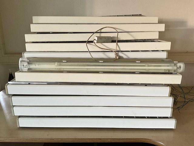 Diverse lichtbakken (30x) - afbeelding 1 van  3