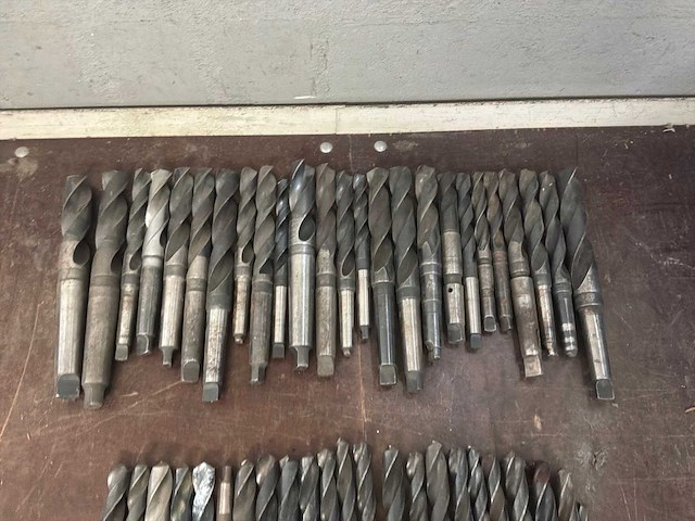 Diverse morseconusboren (45x) - afbeelding 2 van  11