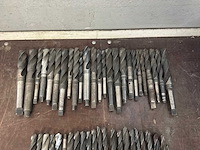 Diverse morseconusboren (45x) - afbeelding 2 van  11