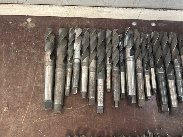 Diverse morseconusboren (45x) - afbeelding 3 van  11