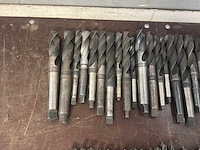 Diverse morseconusboren (45x) - afbeelding 3 van  11