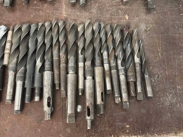 Diverse morseconusboren (45x) - afbeelding 4 van  11