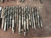 Diverse morseconusboren (45x) - afbeelding 4 van  11