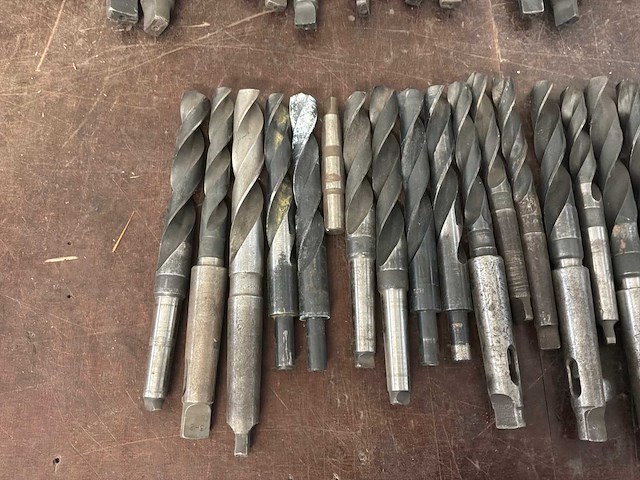 Diverse morseconusboren (45x) - afbeelding 5 van  11