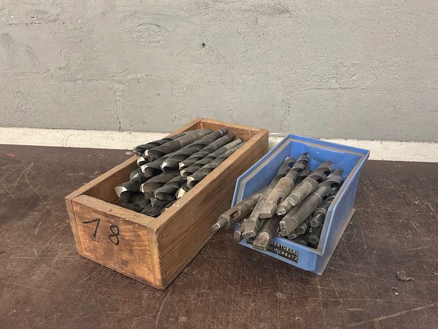 Diverse morseconusboren (45x) - afbeelding 1 van  11