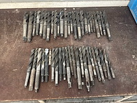 Diverse morseconusboren (45x) - afbeelding 6 van  11