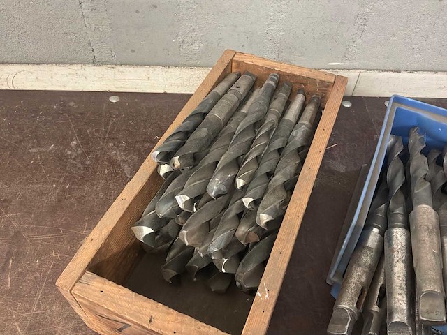 Diverse morseconusboren (45x) - afbeelding 9 van  11