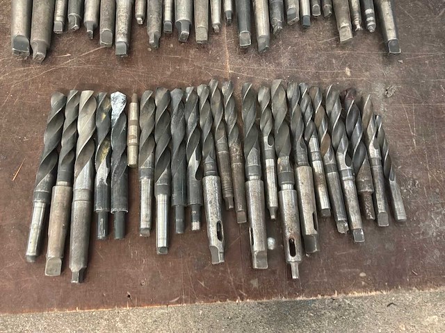 Diverse morseconusboren (45x) - afbeelding 11 van  11