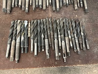 Diverse morseconusboren (45x) - afbeelding 11 van  11