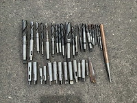 Diverse morseconusboren en verlenghulzen (33x) - afbeelding 2 van  7