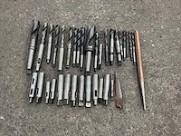 Diverse morseconusboren en verlenghulzen (33x) - afbeelding 5 van  7