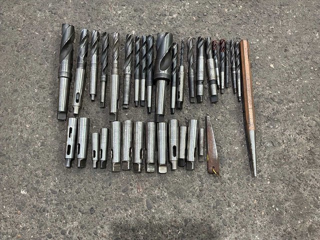 Diverse morseconusboren en verlenghulzen (33x) - afbeelding 6 van  7