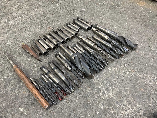 Diverse morseconusboren en verlenghulzen (33x) - afbeelding 7 van  7