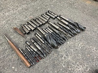 Diverse morseconusboren en verlenghulzen (33x) - afbeelding 7 van  7