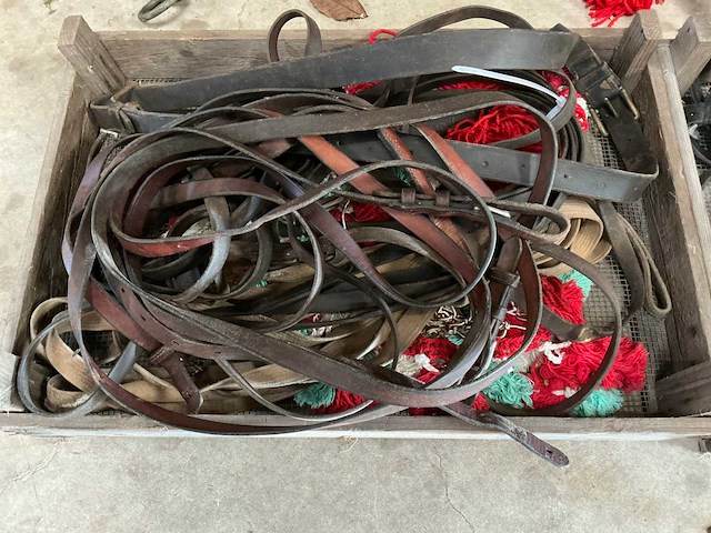 Diverse paarden artikelen - afbeelding 3 van  6