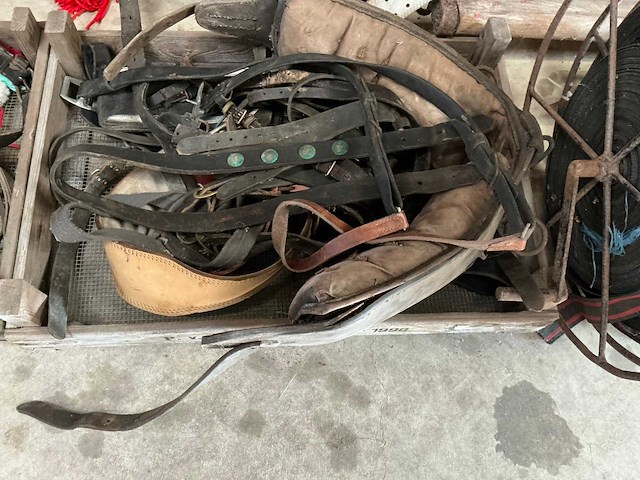 Diverse paarden artikelen - afbeelding 4 van  6