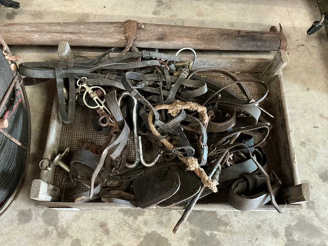 Diverse paarden artikelen - afbeelding 6 van  6