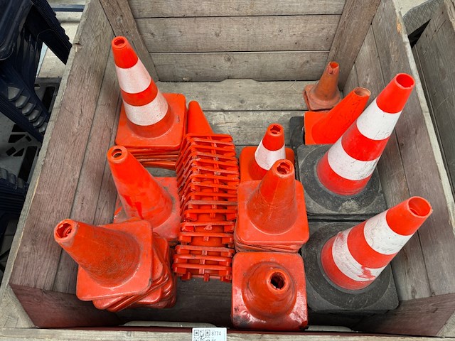 Diverse pionnen - afbeelding 3 van  3
