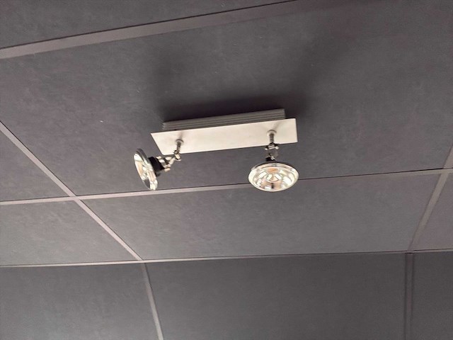 Diverse plafond- en hangverlichting - afbeelding 11 van  13