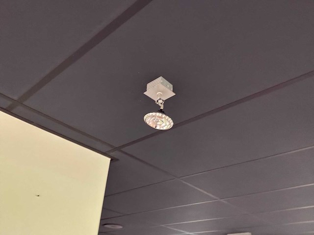 Diverse plafond- en hangverlichting - afbeelding 13 van  13