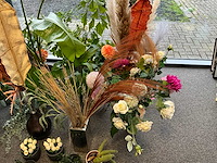 Diverse planten en kunstplanten - afbeelding 3 van  5