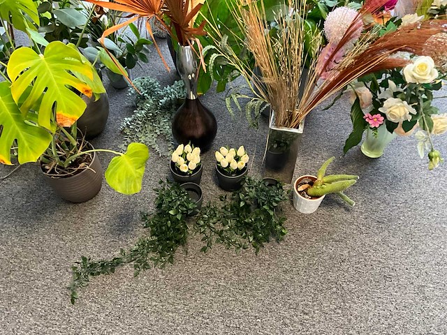 Diverse planten en kunstplanten - afbeelding 4 van  5