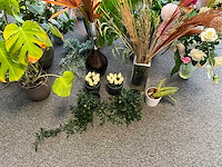 Diverse planten en kunstplanten - afbeelding 4 van  5