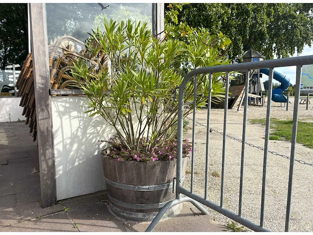 Diverse plantenbakken (6x) - afbeelding 1 van  6