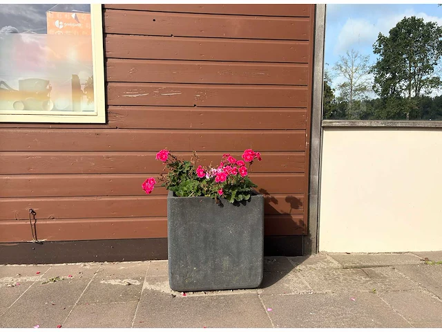 Diverse plantenbakken (6x) - afbeelding 2 van  6