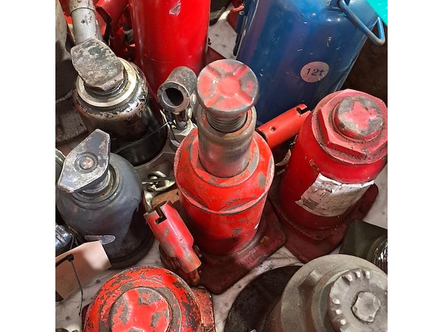 Diverse potkrikken - afbeelding 3 van  11