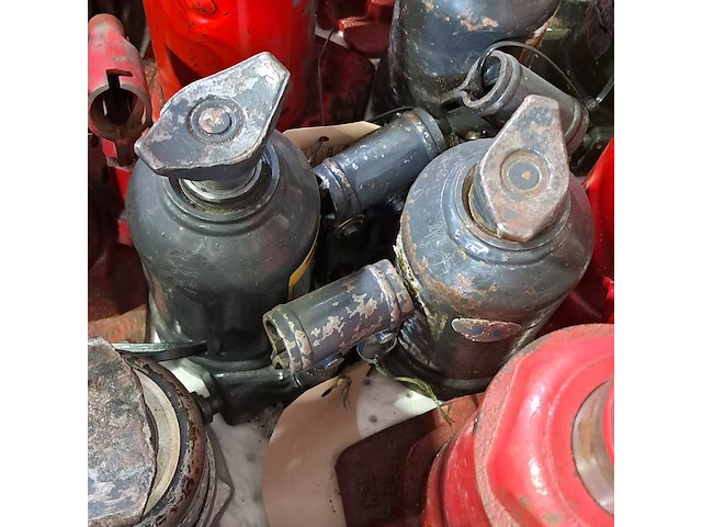 Diverse potkrikken - afbeelding 11 van  11