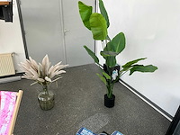 Diverse presentatie/ promotie artikelen - afbeelding 4 van  7