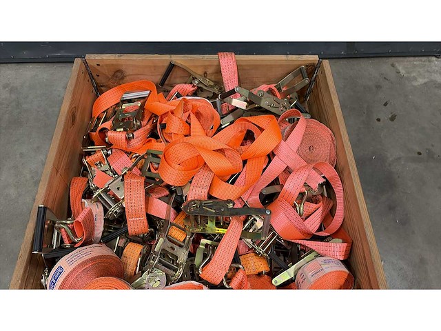 Diverse ratels - afbeelding 2 van  3