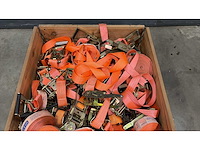 Diverse ratels - afbeelding 2 van  3