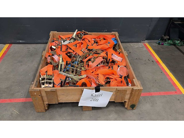 Diverse ratels - afbeelding 1 van  2