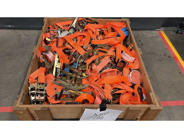 Diverse ratels - afbeelding 2 van  2