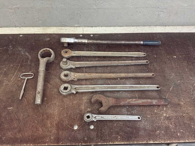 Diverse ratels - afbeelding 1 van  4