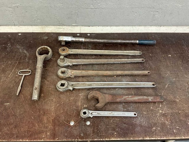 Diverse ratels - afbeelding 2 van  4