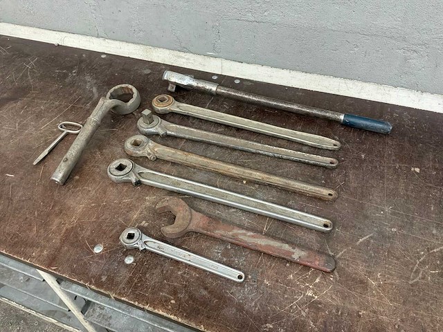 Diverse ratels - afbeelding 3 van  4