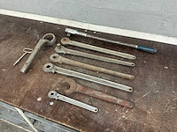 Diverse ratels - afbeelding 3 van  4