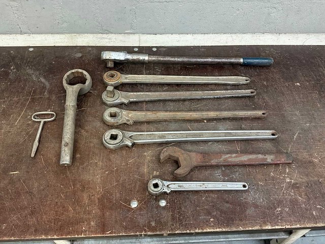 Diverse ratels - afbeelding 4 van  4