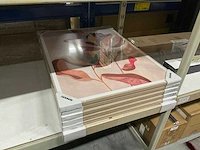 Diverse reinders print in lijst (6x)