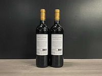 Diverse rode wijn (6x) - afbeelding 2 van  17