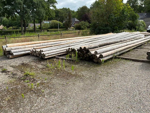 Diverse ronde palen (120x) - afbeelding 1 van  8