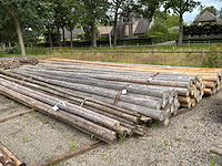 Diverse ronde palen (120x) - afbeelding 2 van  8